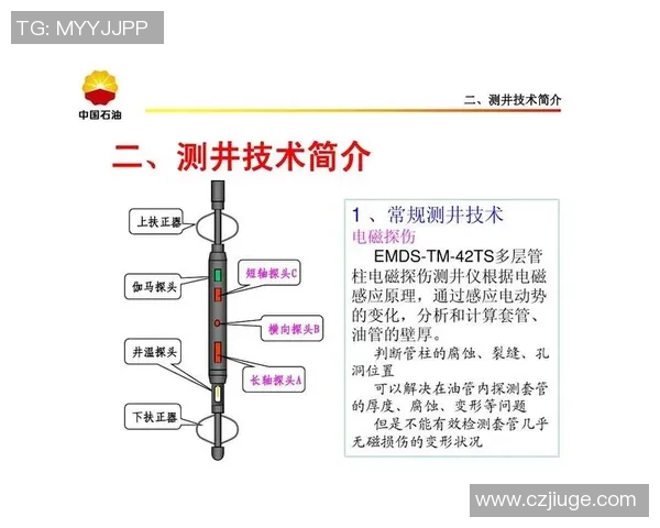北京羽毛球队在奥运会上的技术表现分析与点评探讨